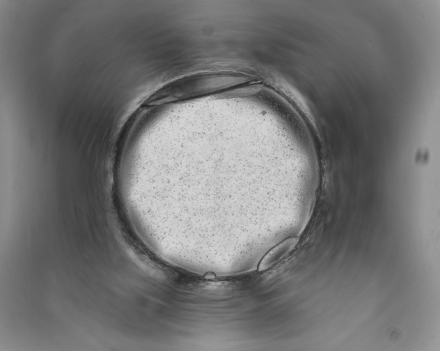 X0000090870059200708171634