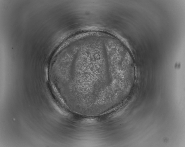 X0000090870061200708171634