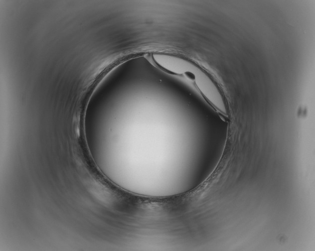 X0000090870062200708171634