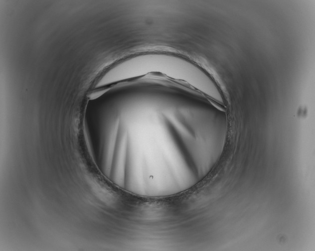 X0000090870063200708171634