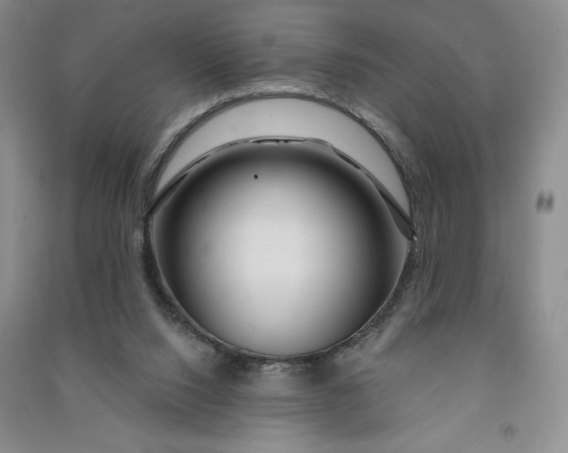 X0000090870064200708171634