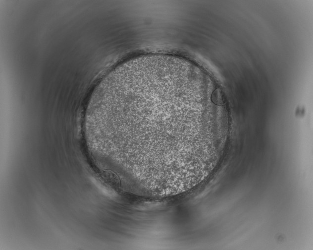 X0000090870065200708171634