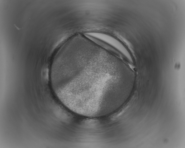 X0000090870067200708171634