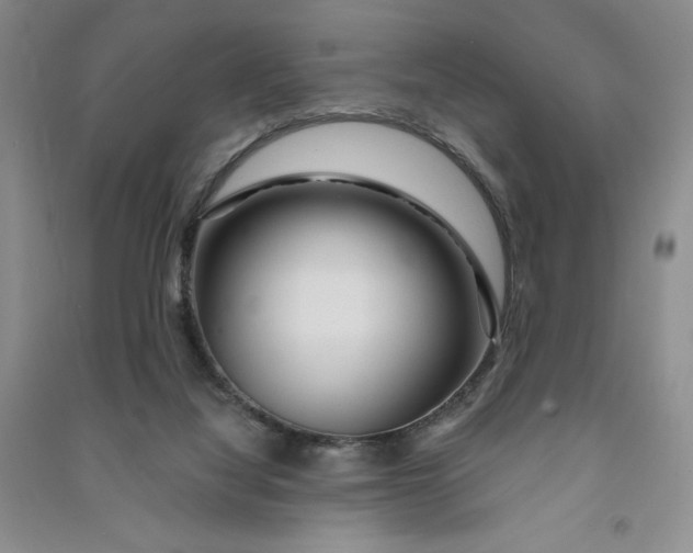 X0000090870068200708171634