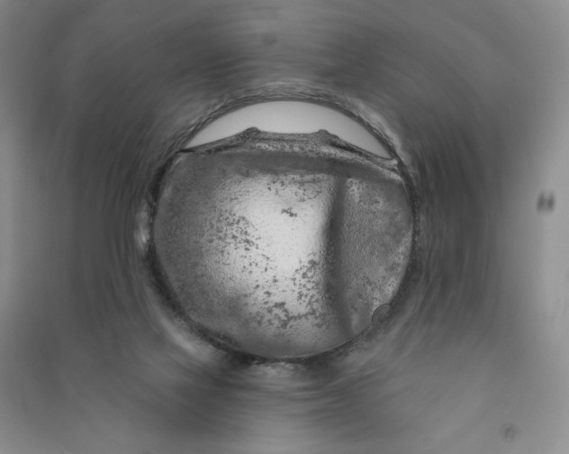 X0000090870069200708171634