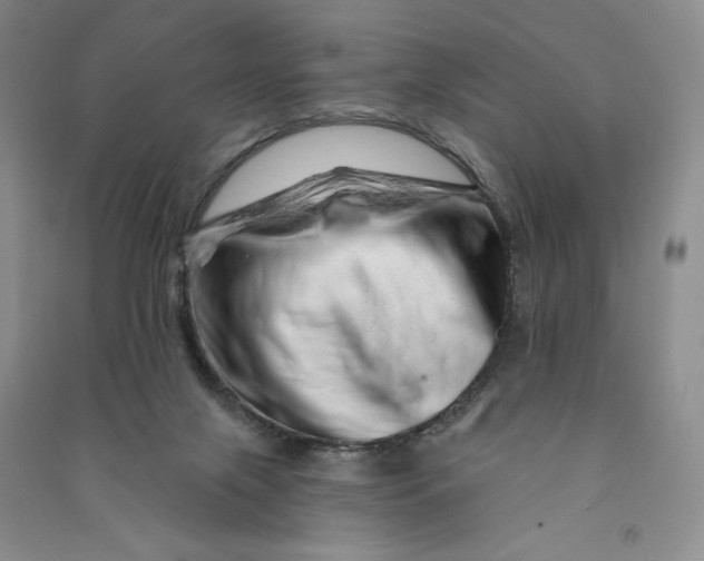 X0000090870071200708171634