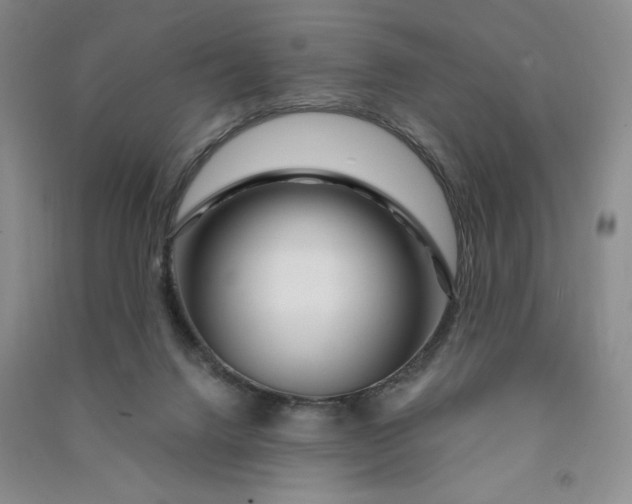 X0000090870072200708171634