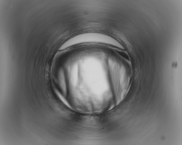 X0000090870073200708171634