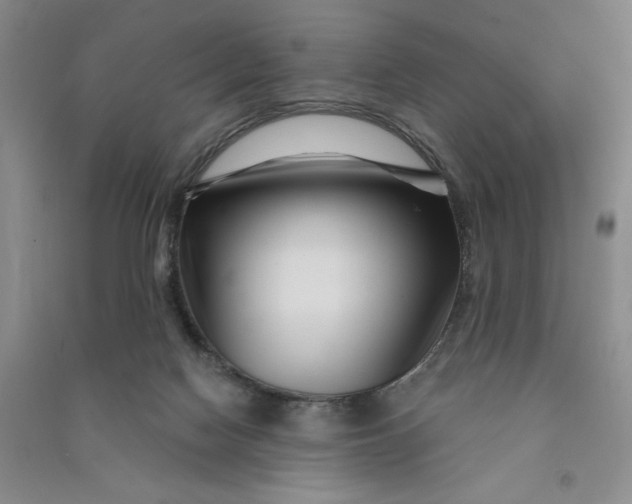 X0000090870074200708171634