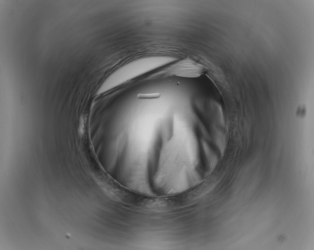 X0000090870075200708171634