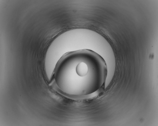 X0000090870076200708171634