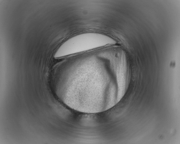 X0000090870077200708171634