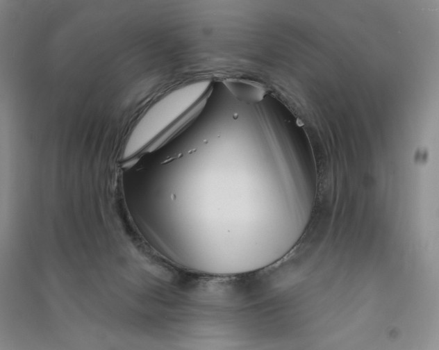 X0000090870078200708171634