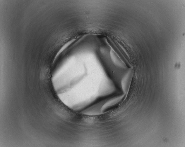 X0000090870079200708171634