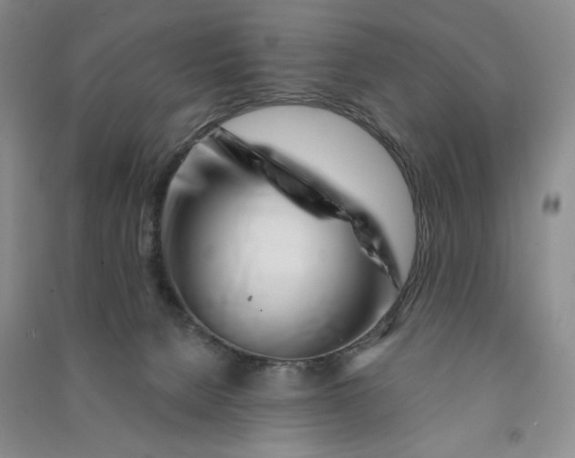 X0000090870080200708171634