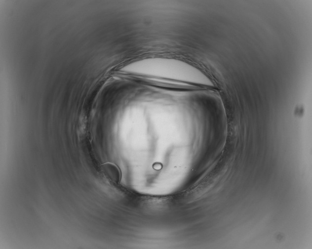 X0000090870081200708171634