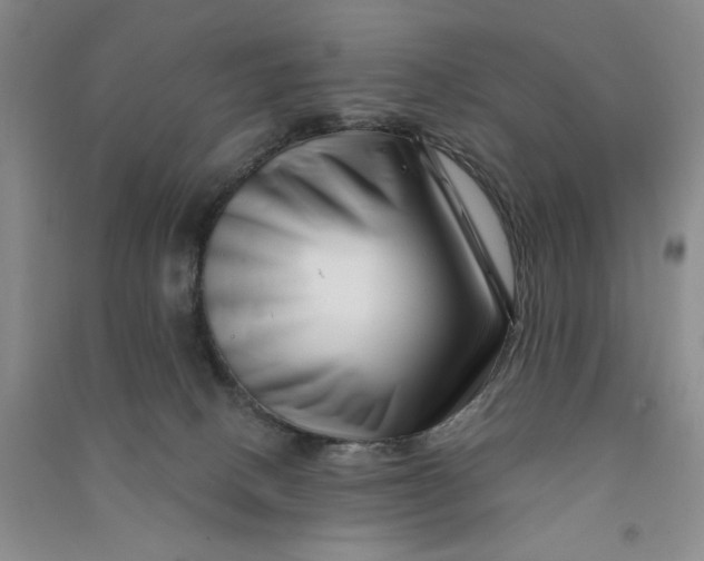 X0000090870082200708171634