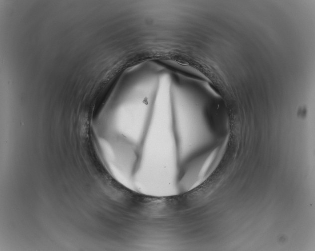 X0000090870083200708171634