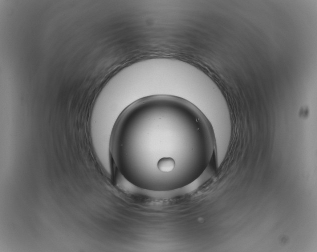 X0000090870084200708171634