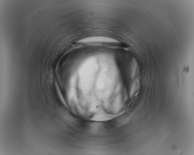 X0000090870085200708171634