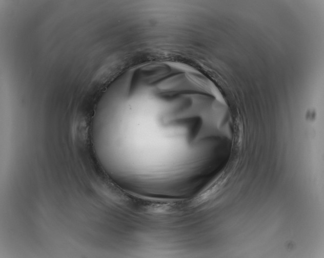 X0000090870086200708171634