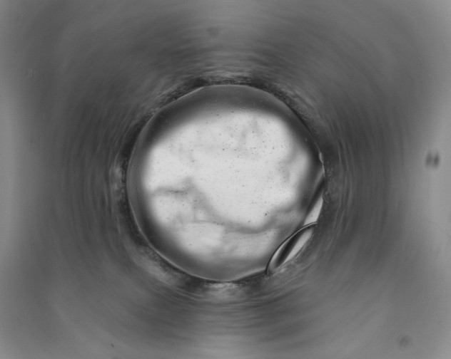 X0000090870087200708171634