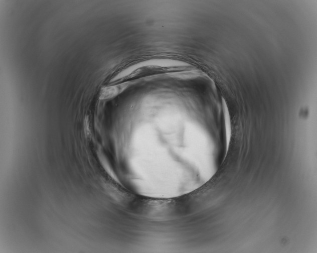 X0000090870089200708171634