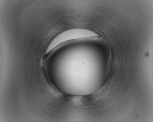 X0000090870090200708171634