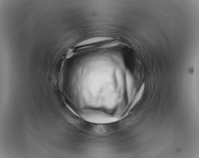 X0000090870091200708171634