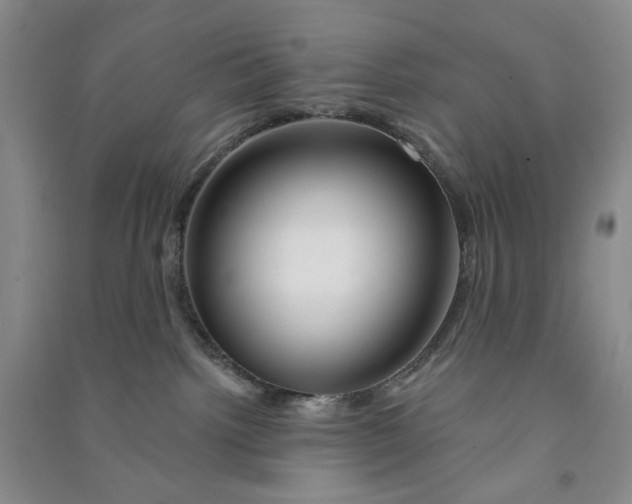 X0000090870092200708171634