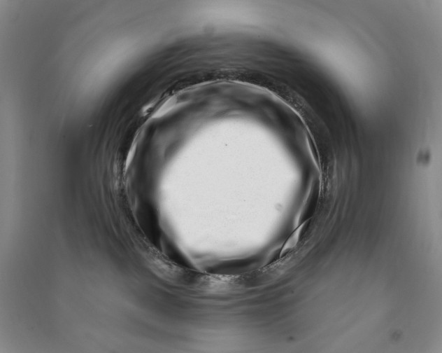 X0000090870093200708171634