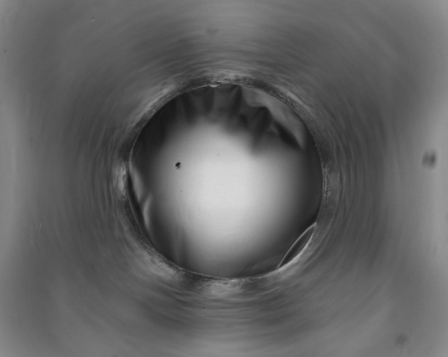 X0000090870094200708171634