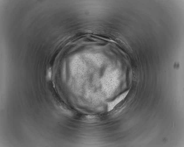 X0000090870095200708171634