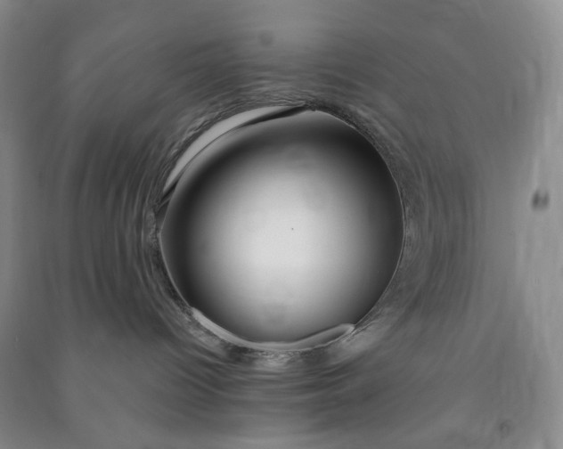 X0000090870096200708171634