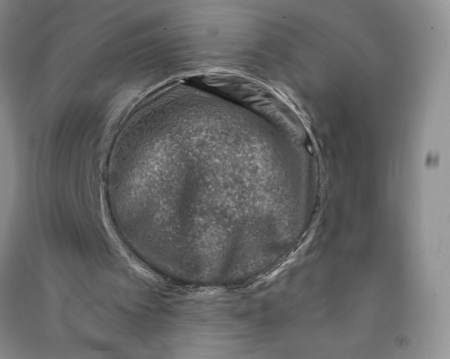 X0000090870097200708171633