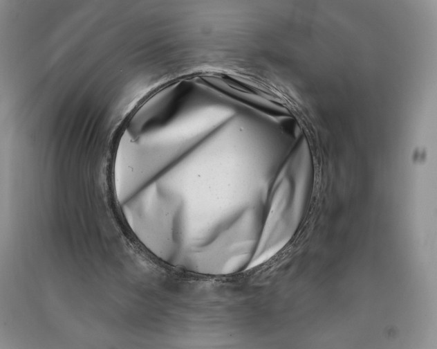 X0000090870098200708171633