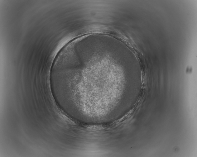 X0000090870099200708171633