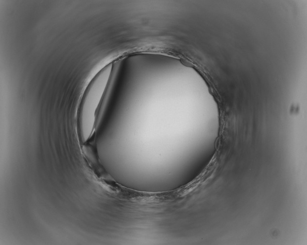 X0000090870100200708171633