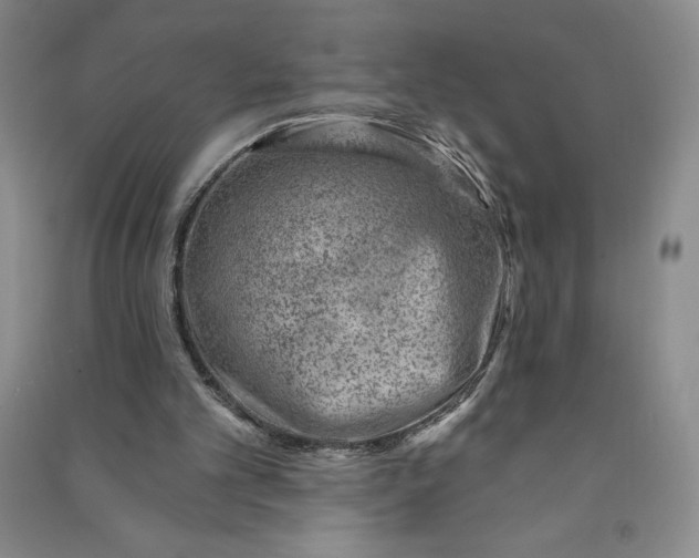 X0000090870101200708171633