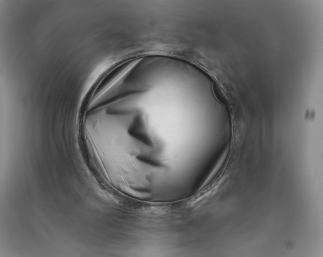 X0000090870102200708171633