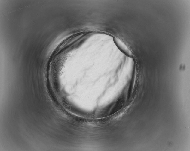 X0000090870103200708171633