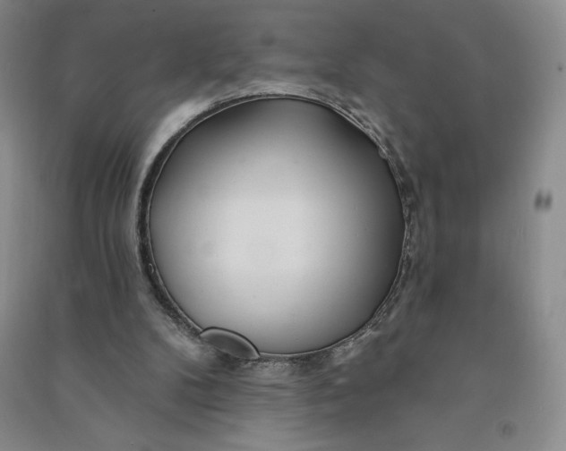 X0000090870104200708171633