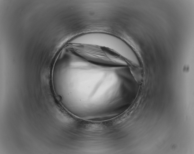 X0000090870107200708171633