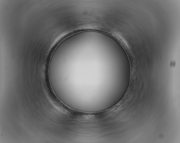 X0000090870108200708171633