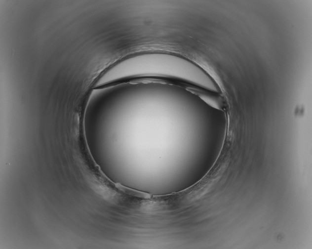 X0000090870109200708171633