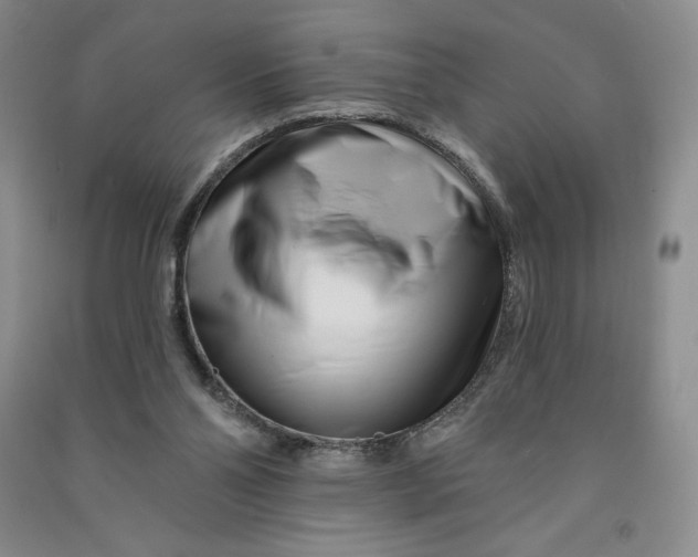 X0000090870110200708171633