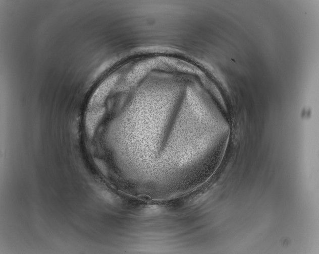 X0000090870111200708171633