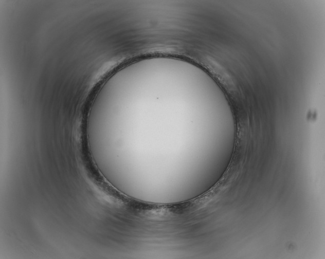 X0000090870112200708171633