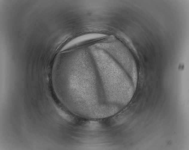 X0000090870114200708171633