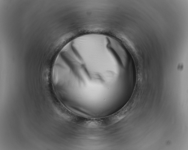 X0000090870115200708171633